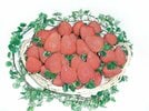 
          
山陽新聞トップ賞・いちごびっくりバスケット
        