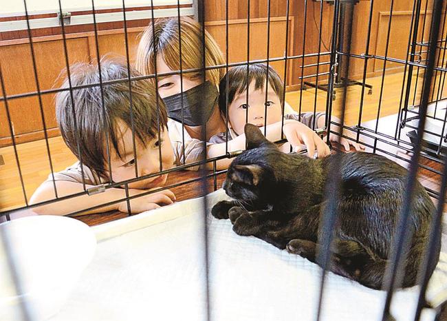 保護された猫をなでる親子=松江市西川津町、松江東高校