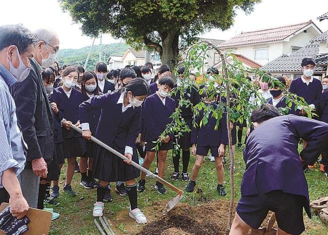 桜を植える子どもたちを見守る勝部正道さん（左から２人目）＝松江市玉湯町湯町、玉湯学園