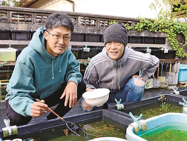 改良メダカの魅力を伝えるイベントを企画した案田薫さん（右）ら＝雲南市加茂町宇治