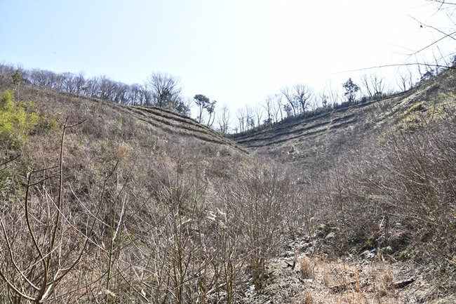 作業員男性がツキノワグマに襲われ、重傷を負った事故現場付近＝２２日午前１１時３６分、江津市桜江町谷住郷