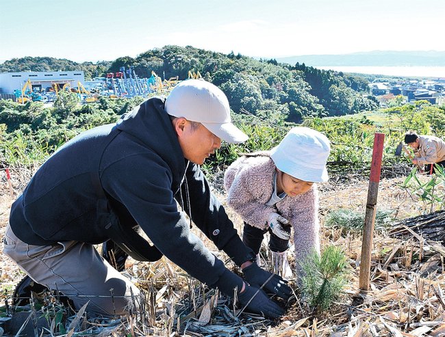 アカマツの苗木を植える親子連れ＝松江市東長江町、葉子山