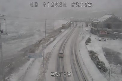 気象情報】鳥取で初雪を観測 | 山陰中央新報デジタル