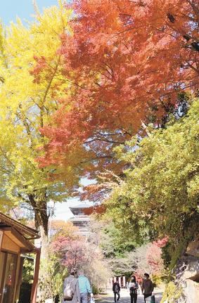 紅葉を楽しむ参詣客＝安来市清水町、清水寺