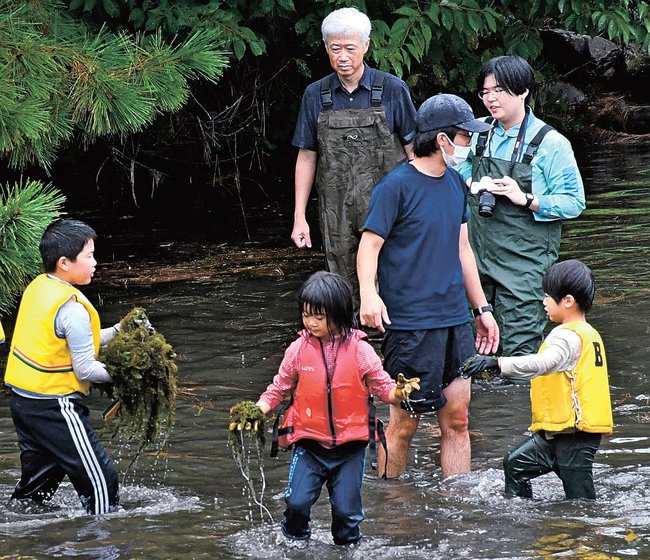 堀川の藻を刈り取る小学生たち＝松江市殿町
