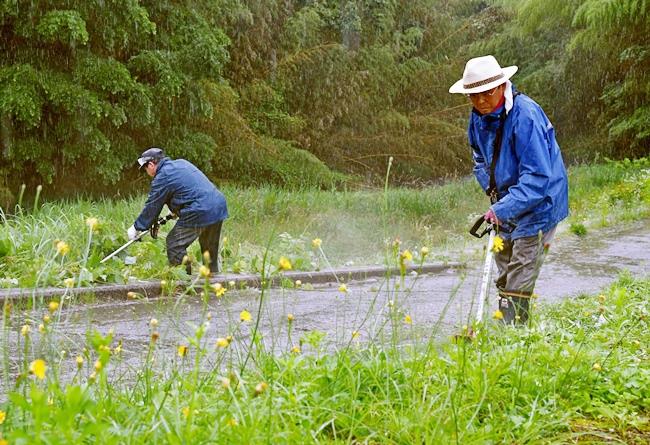 草刈りに励む地域住民＝島根県邑南町内