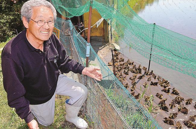 アイガモの活躍に期待する宇山智明さん=島根県飯南町頓原