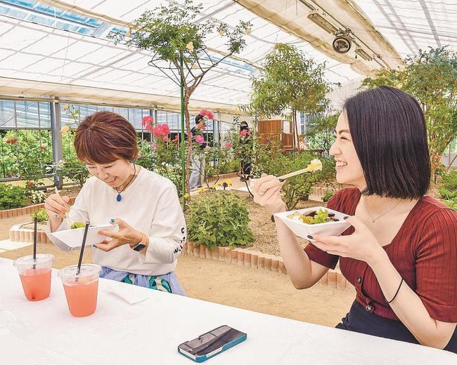バラ園の中で食事を楽しむ観光客ら＝島根県邑南町矢上、香木の森公園
