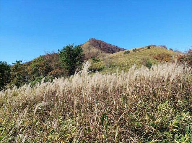 下蒜山