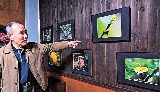 撮影した草花の写真を紹介する岡崎茂喜さん＝益田市あけぼの東町、ちいさなぎゃらりーうつわ