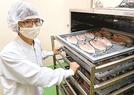 薫製装置に干物を入れる渡邊美和子常務＝出雲市浜町、渡邊水産
