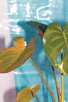 「Ｔｏｆｕ－Ｋｎｉｆｅ」より