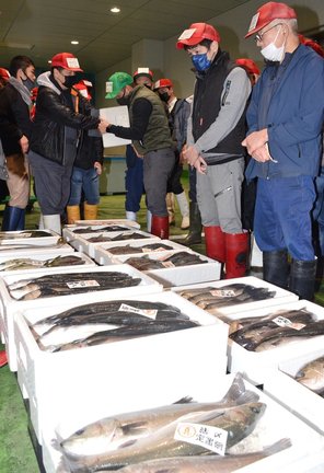 「懐競り」で魚を競り落とす仲買人たち＝浜田市原井町、浜田漁港