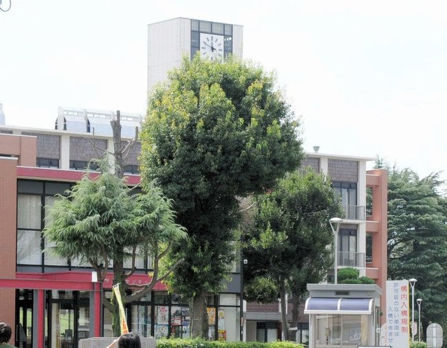 鳥取大学(資料)