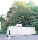 クマが目撃された木＝島根県川本町川本、県川本合同庁舎