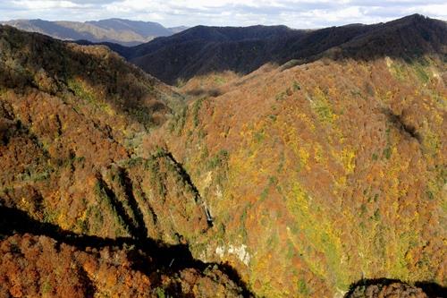 白神山地＝青森県西目屋村
