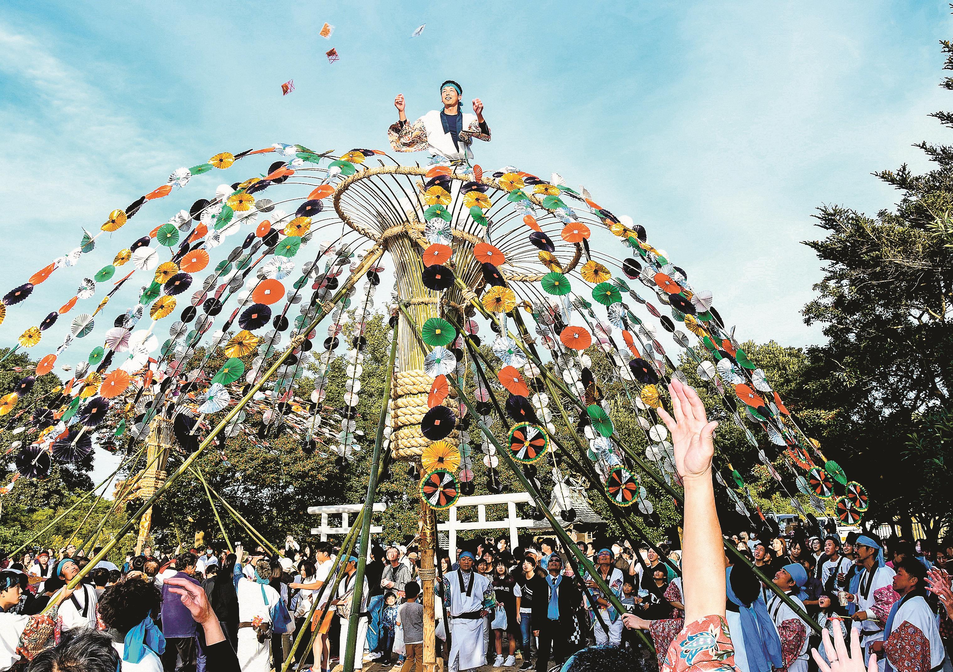 動画】待望「華」開く 出雲・佐志武神社 | 山陰中央新報デジタル