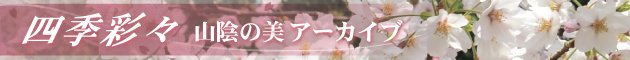 四季彩々 山陰の美アーカイブ