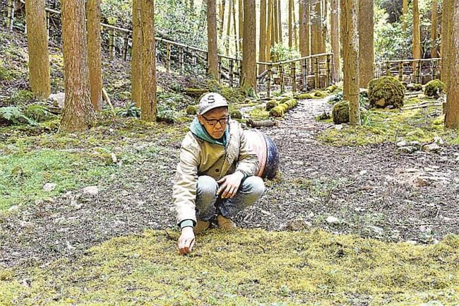 新設したコケランドでコケの感触を確かめる生産者＝江津市有福温泉町