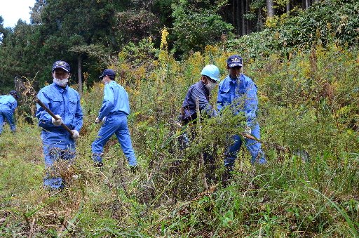 鎌を使って草を刈る生徒たち＝浜田市河内町、柿木山