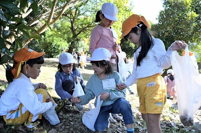 ドングリを拾う子どもたち=松江市西川津町、松江東高校