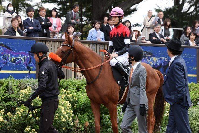 日曜劇場『ザ・ロイヤルファミリー』の場面カット (C)TBSスパークル/TBS