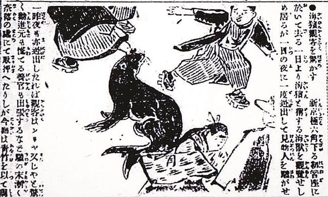 竹島のニホンアシカが逃げ出した様子を伝える１９０２年３月３日付の京都日出新聞（国立国会図書館所蔵）