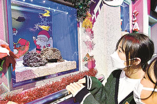 クリスマスをテーマにした企画水槽＝浜田市・江津市、しまね海洋館アクアス