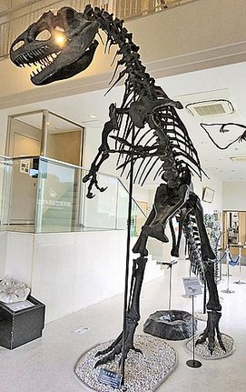 奥出雲多根自然博物館に展示してある恐竜の骨格標本（レプリカ）＝島根県奥出雲町佐白