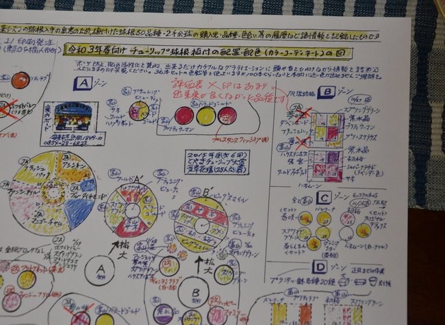 島田さんが毎年制作、記録している評価表。満足いく開花ではなかった場合、容赦なくバツが付く＝安来市荒島町