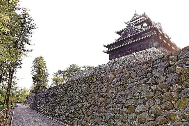 ▲アフター▲樹木が伐採され、石垣の下から見えるようになった松江城天守＝２０２３年４月１２日、松江市殿町