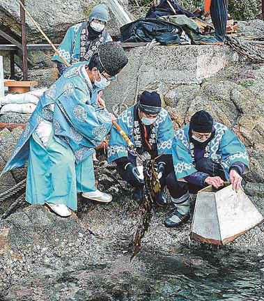 供えるワカメを刈り取る神職（左）＝出雲市大社町宇龍