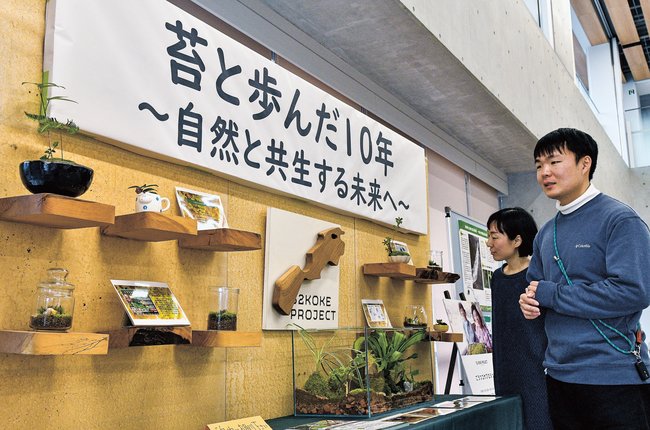 「ごうつコケプロジェクト」の歩みや盆栽などを見る市民＝江津市江津町、市役所