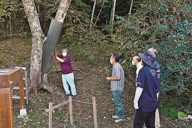 クマの木登り防止用トタンの設置方法を聞く参加者＝益田市大谷町