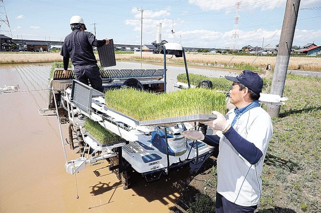 ロボット田植え機に苗を補充する時は人の手が必要です