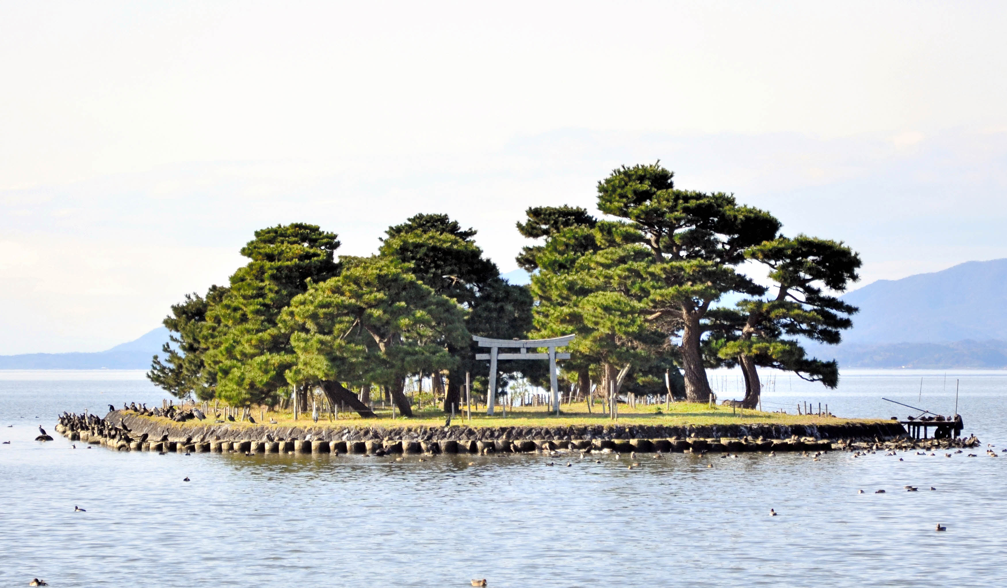 宍道湖で高校生溺れる 山陰中央新報デジタル 宍道湖で高校生溺れる 山陰中央新報デジタル
