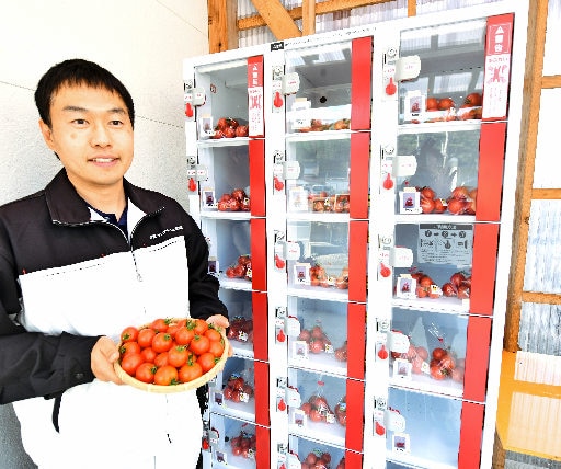 江津コンクリート工業が導入したトマトの自動販売機＝江津市都野津町、同社
