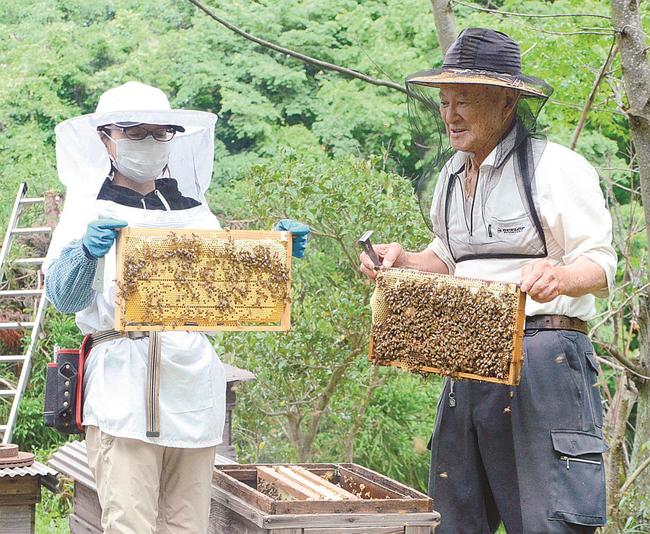 若手養蜂家にアドバイスする広江浩さん（右）＝松江市内