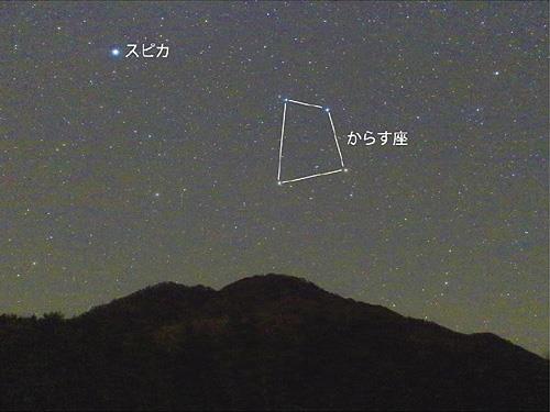 きらめく星 からす座 山陰中央新報デジタル