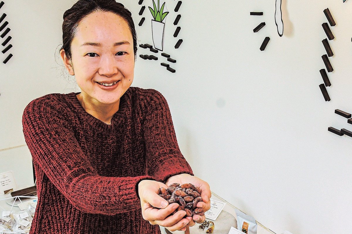 タイのカカオ豆を斐川のチョコ店へ 出身の農園主、ほぼ全量出荷 価格