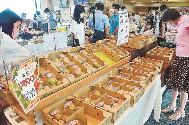 朝どれの生食用イチジクを買い求める来場者=出雲市多伎町多岐、キララ多伎