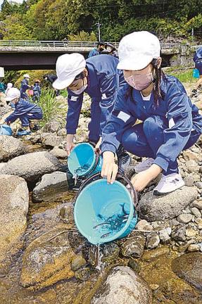 アユの稚魚を放流する児童＝雲南市三刀屋町乙加宮、三刀屋川
