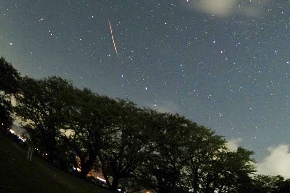 ペルセウス座流星群の流れ星＝2023年8月13日午後10時6分、松江市八束町波入（松江星の会提供）