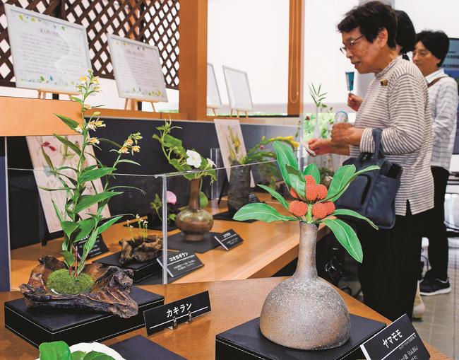 精巧に作られた植物作品を見る来場者＝出雲市西新町２丁目、しまね花の郷