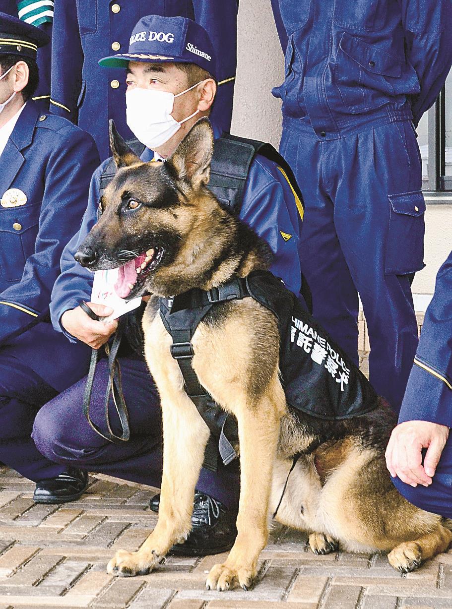 ロック号頼んだぞ 大田 ３回目の警察犬嘱託 山陰中央新報デジタル