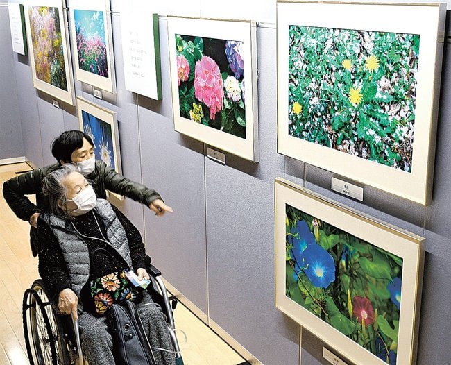 故池田大作名誉会長の作品に見入る来場者＝境港市上道町、市民交流センター「みなとテラス」