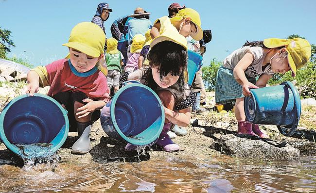 稚アユを慎重に放流する園児＝島根県川本町因原、濁川