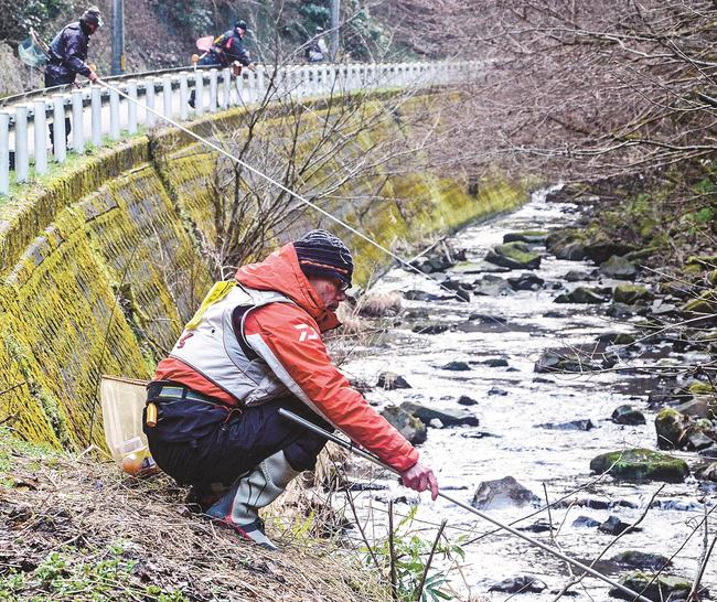 ヤマメとのやりとりを楽しむ釣り人＝出雲市佐田町高津屋