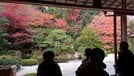 庭園