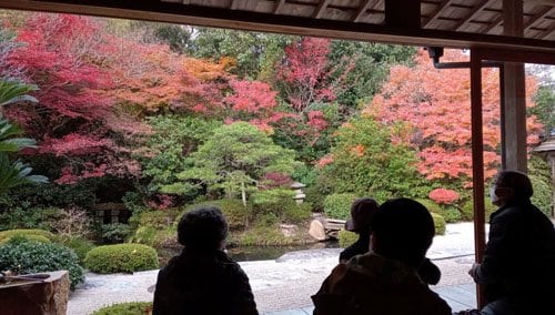 庭園
